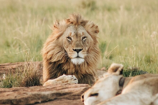 4 Days Experience big five in Tarangire, Serengeti & Ngorongoro Safari - Day 2: The long road to Serengeti