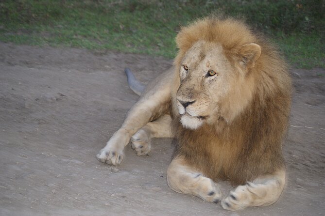 4 Days Group Camping Safari - The details that matter most