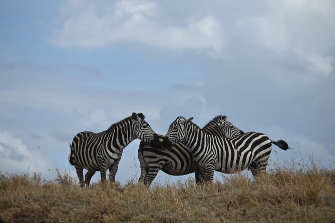 4 Days Group Camping Safari - Why this four-day route works