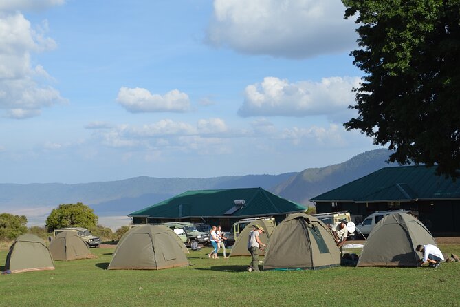 4 Days Group Camping Safari - Day 1: Tarangire’s elephants and baobabs