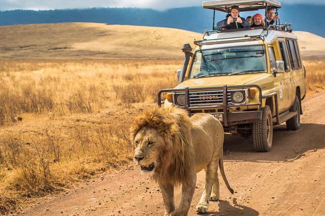 4 Days Group Joining Camping Tanzania safari - Day 2: The long road into the Serengeti