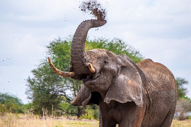 4 Days lodge &camping Tarangire,Serengeti, Ngorongoro Safari Tour - The route at a glance