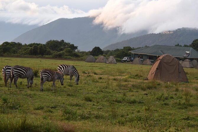 4 Days lodge &camping Tarangire,Serengeti, Ngorongoro Safari Tour - Small groups, transport, and guide support