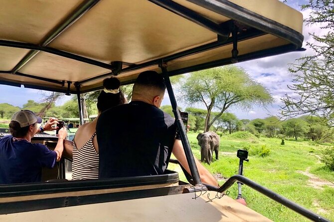4 Days lodge safari Tarangire , Ngorongoro crater & Walking - Day 4: Walking around Mto wa Mbu