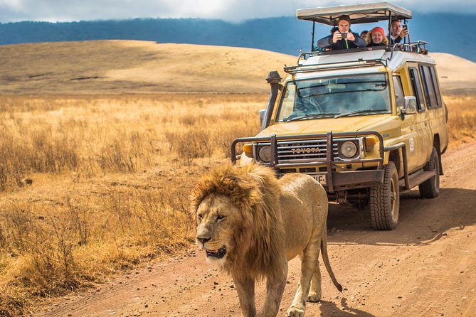 4 Days Private Safari - Tarangire, Serengeti & Ngorongoro Crater - What $1,500 covers, and where the value lies