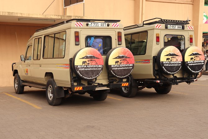 4 Days Private Safari - Tarangire, Serengeti & Ngorongoro Crater - Day 3: A last Serengeti drive and the Maasai conservation area