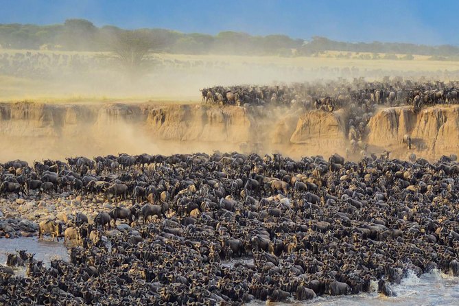 4 days safari in Tanzania - Day 3: Olduvai Gorge and the road to Ngorongoro