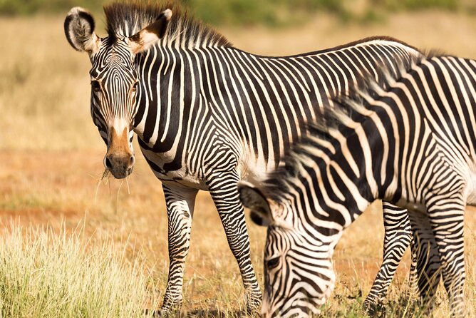 4 Days Safari to Tarangire, Serengeti and Ngorongoro - Day two: The long road into Serengeti