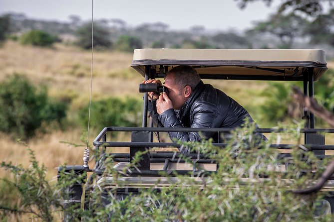 4 Days safari Tour Tanzania - Day one: elephants and baobabs in Tarangire