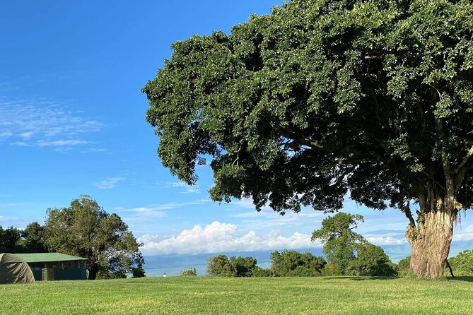 4 Days safari Tour Tanzania - The vehicle, guide, and private group setup