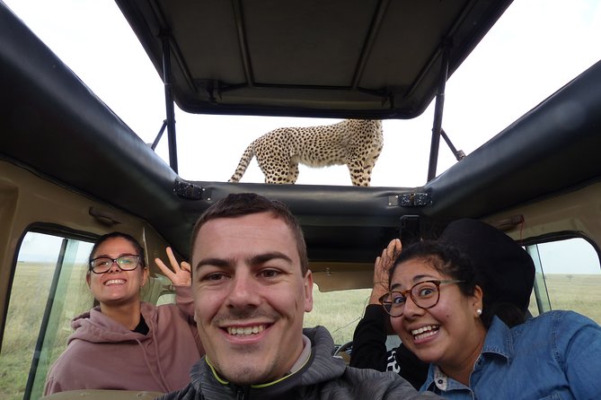 4 Days safari Tour Tanzania - Who should choose this four-day route?