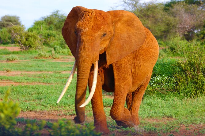 4 Days Tanzania Budget Group Join Safari- Serengeti & Ngorongoro - What $1,283 buys you in northern Tanzania