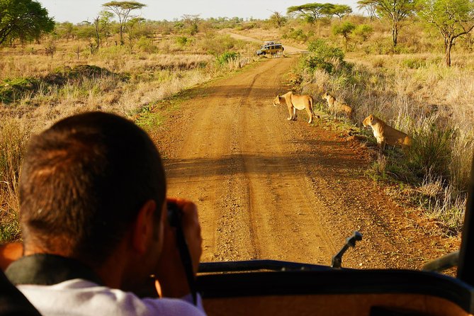 4 Days Tanzania Camping Safari - What the $1,479.49 price really covers