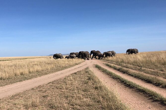 4 Days Tanzania Camping Safari - Day 4: Confirm the final schedule
