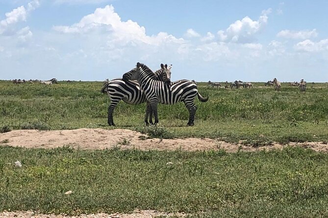 4 Days Tanzania Camping Safari - Guides, cooks, and the human side of the trip