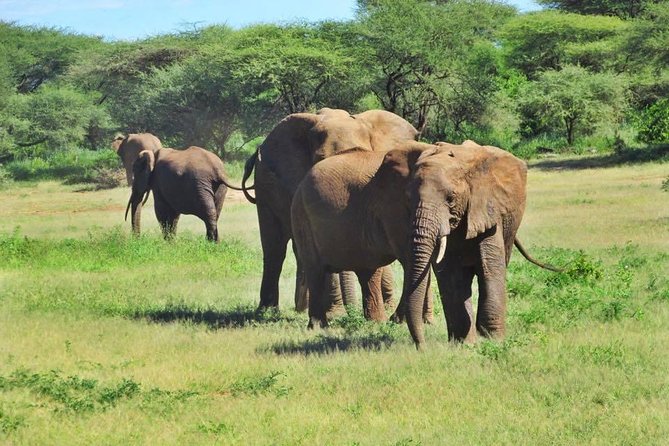 4 Days Tanzania Camping Safari - Day 2: The long road into Serengeti