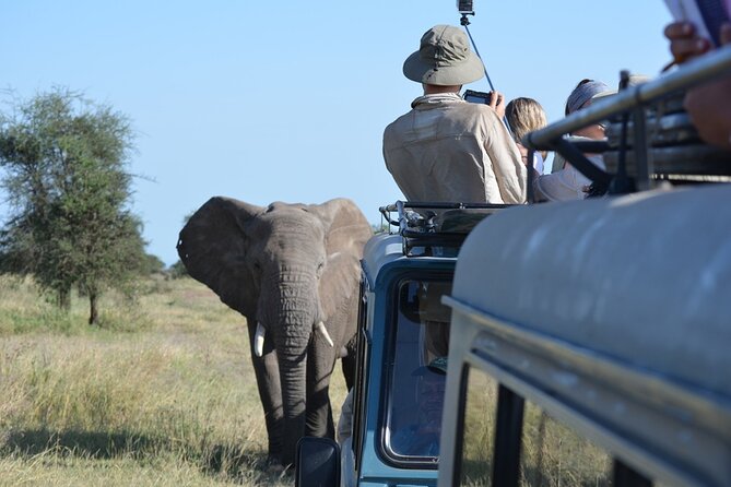 4 Days Tanzania Lodge Safari With Two Nights at Serengeti - Day two: From Karatu to the Serengeti