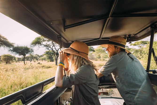 4 Days Tanzania Private safari to Serengeti ,ngorongoro crater and Tarangire - Day one: elephants and open country in Tarangire