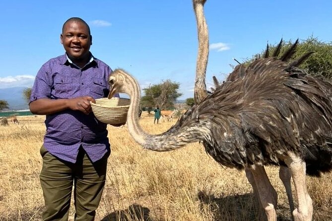 4 Days Tanzania Safari Tarangire, Serengeti and Ngorongoro Crater - Camps, Meals, and What the Price Covers