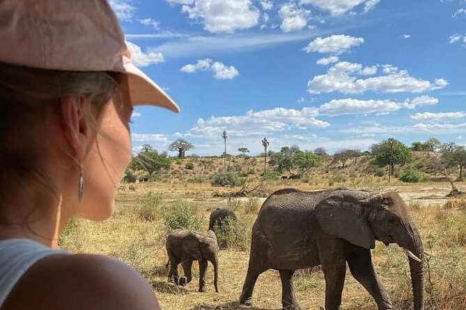 4 Days Tanzania Safari Tour - What this four-day safari is really offering