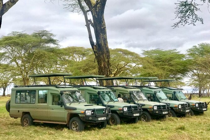4 Days Tanzania Safari Tour - Guides, vehicles, and the human side of the trip