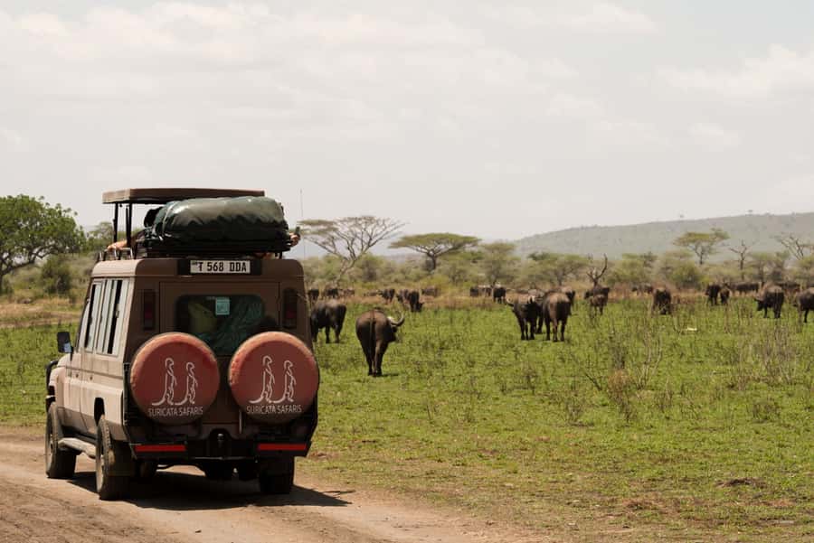 4 Days Tarangire, Serengeti, Ngorongoro Group Camping Safari - Key points before you book