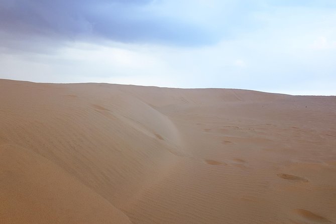 4 Days Tour In Doha | City Tour | North Tour | Desert Safari | West Tour - What the $409.24 price really buys you