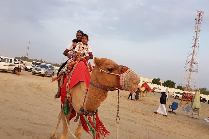 4 Hour Desert Safari, Camel Ride & Inland Sea Beach - Who Will Enjoy This Desert Safari?