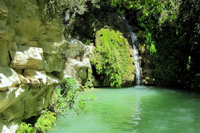 4 hour Quad & Buggy Safari Akamas(lara Bay) & Adonis Falls - Adonis Baths: a short walk and an icy swim