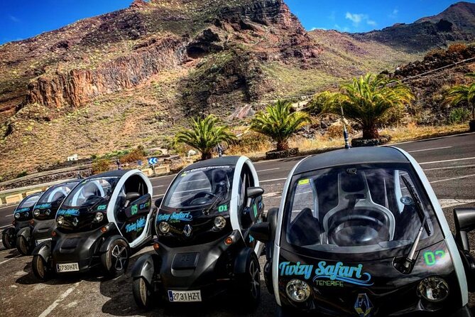 4 Hours Eco Safari Tour with Electric Car in Tenerife - Key things to know before you book