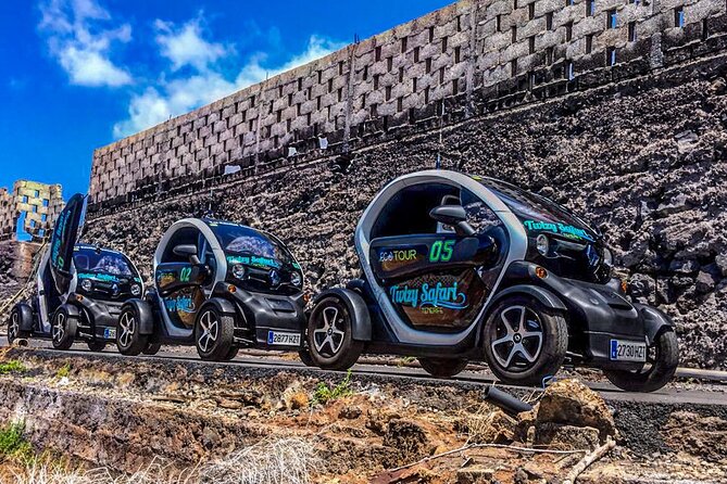 4 Hours Eco Safari Tour with Electric Car in Tenerife - Tamaimo: coffee, views, and a short lesson in island life