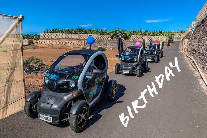 4 Hours Eco Safari Tour with Electric Car in Tenerife - Puerto de Santiago: bananas from plant to table