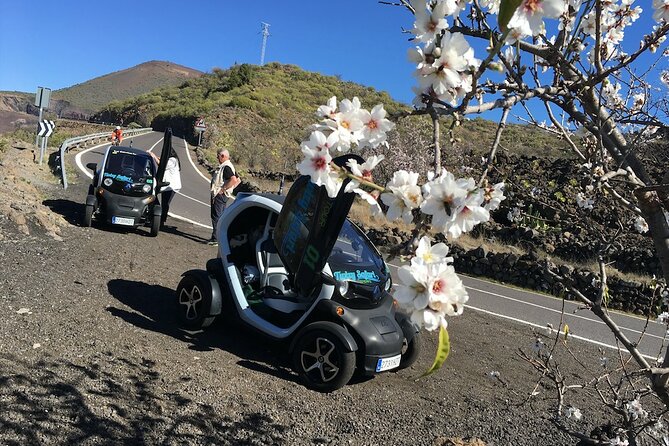 4 Hours Eco Safari Tour with Electric Car in Tenerife - Is $96.79 a fair price?