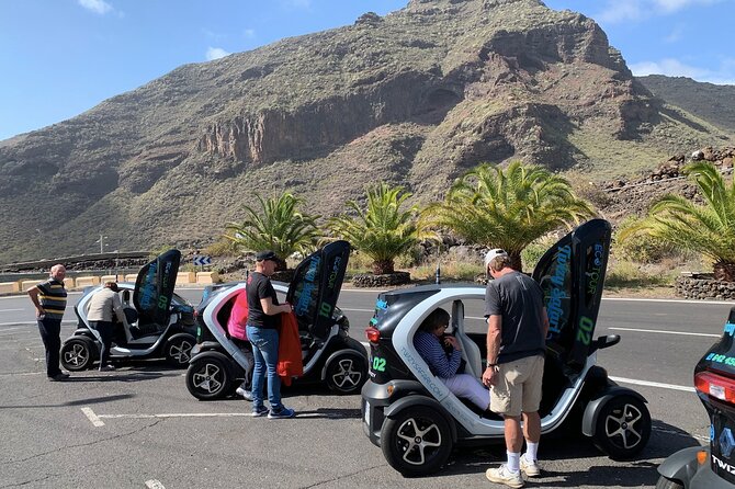 4 Hours Eco Safari Tour with Electric Car in Tenerife - Santiago del Teide: a look beyond the resort strip