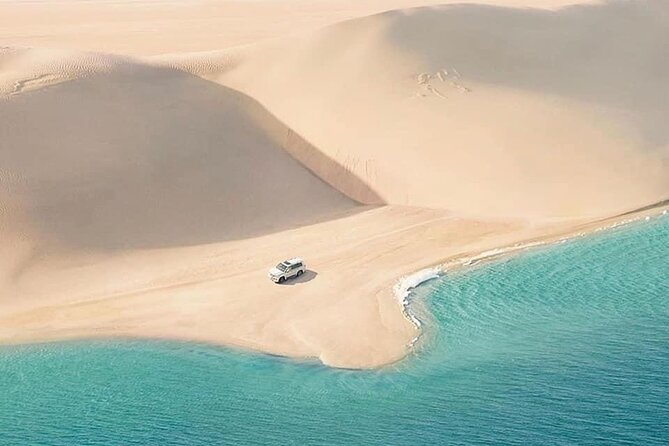 4hr Desert Safari: Sunset,Sunrise,Camel,Sand boarding,Inland Sea - Sand boarding from the high dunes