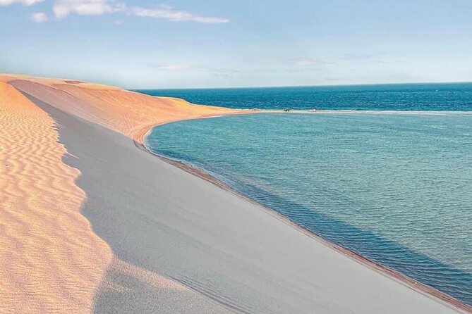 4hr Desert Safari: Sunset,Sunrise,Camel,Sand boarding,Inland Sea - What the price includes in practical terms