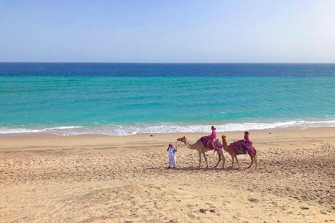 4hr Desert Safari: Sunset,Sunrise,Camel,Sand boarding,Inland Sea - Sealine: camels, falcons, and tire deflation