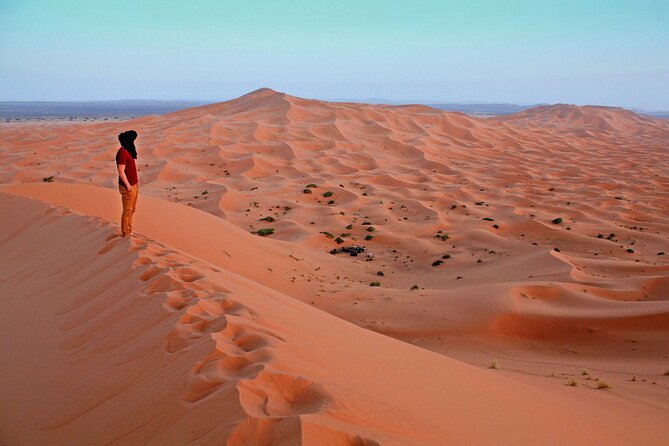 4x4 Arabian Adventure Desert Safari with BBQ Dinner - Red Dunes, sand sports, and the camel farm