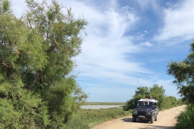 4x4 Camargue Safari 4h - Departure from Arles - Why a 4x4 is useful in the Camargue