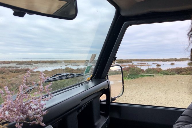4x4 Camargue Safari 4h - Departure from Arles - Horses, bulls, flamingos, and smaller birds