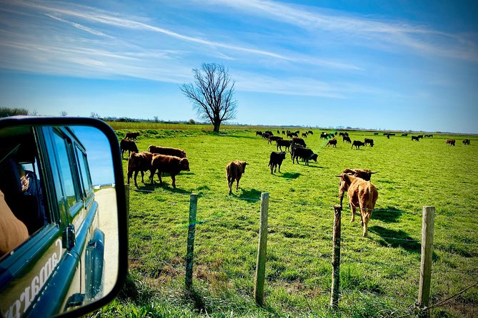 4x4 Camargue Safari 4h - Departure from Arles - Group size and seat comfort