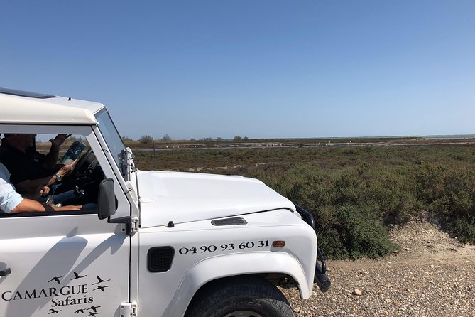 4x4 Camargue Safari 4h - Private Tour - Departure from Arles - Why a private 4x4 trip makes sense in the Camargue