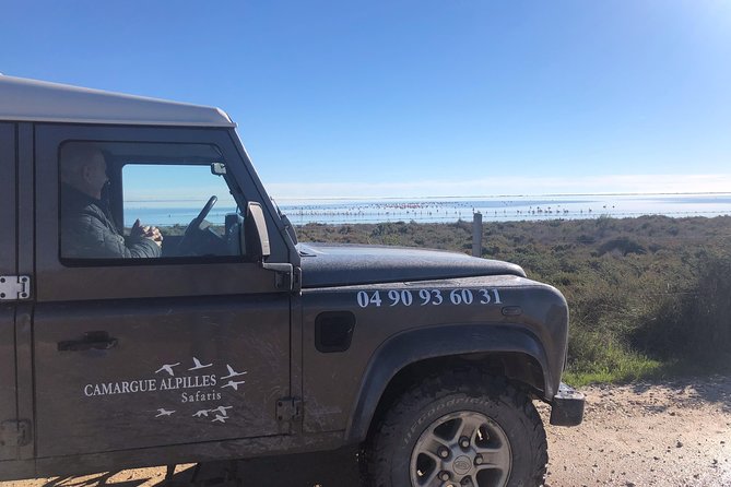 4x4 Camargue Safari 4h - Private Tour - Departure from Arles - A 30-minute pause at Saintes-Maries-de-la-Mer