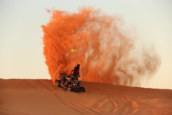 4x4 Desert Safari Abu Dhabi with BBQ Dinner - The camel farm stop is brief but useful