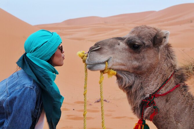 4x4 Desert Safari Abu Dhabi with BBQ Dinner - Dune bashing is the main event
