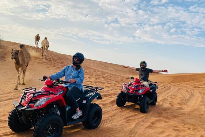 4X4 Dubai Desert Safari with BBQ dinner, Camels & Live Show - The high-dune photo stop