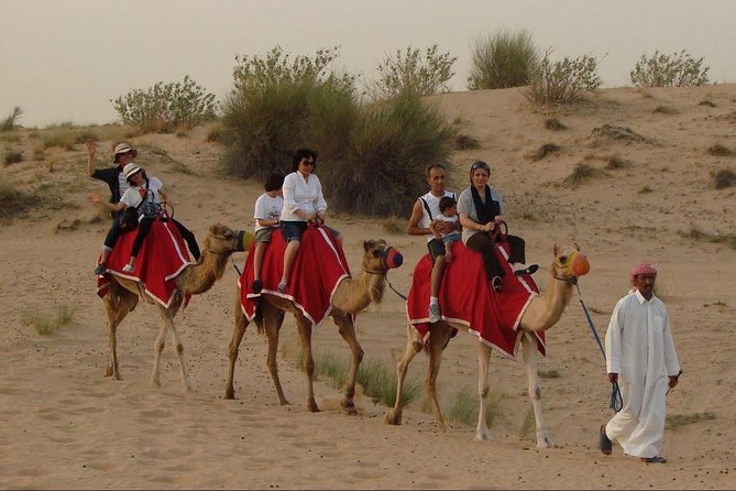 4X4 Dubai Desert Safari with BBQ dinner, Camels & Live Show - Sunset, tea, and a short camel ride
