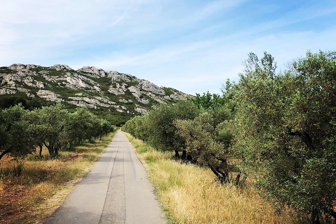 4x4 safari - 4h Alpilles Provence - Departure from Arles - Olive groves, oil tasting, and Provence on a plate