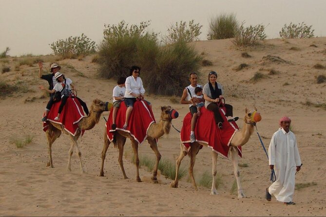 4x4 Self-Drive Quad Bike Safari with Camel Riding - Who should book this experience?