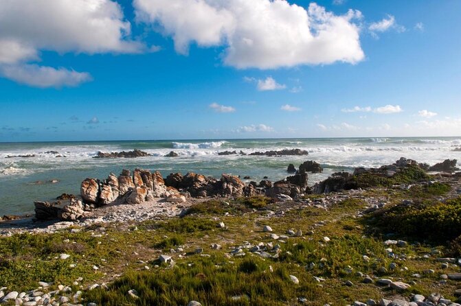 5 Day Cape to Addo Safari - Garden Route Small Group Tour - The trip at a glance